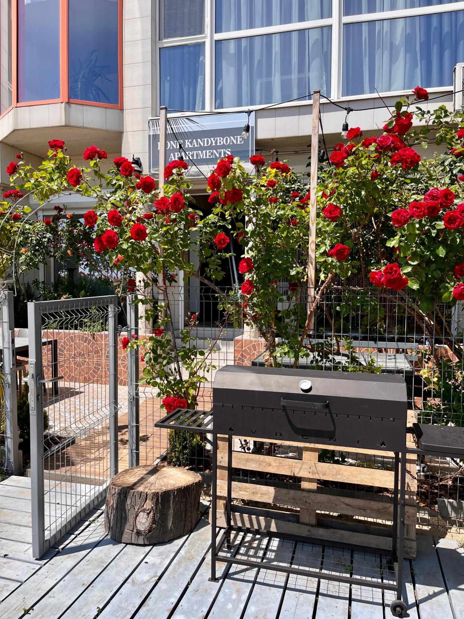 Done Kandybone Apartments Burlatsja Balka Eksteriør bilde